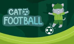 Cat Football